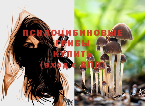 прущий лед Магас