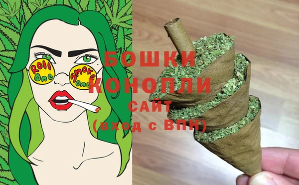 молекула духа Майский