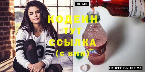 молекула духа Майский