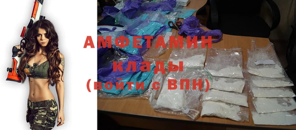 молекула духа Майский