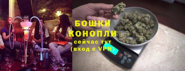 молекула духа Майский